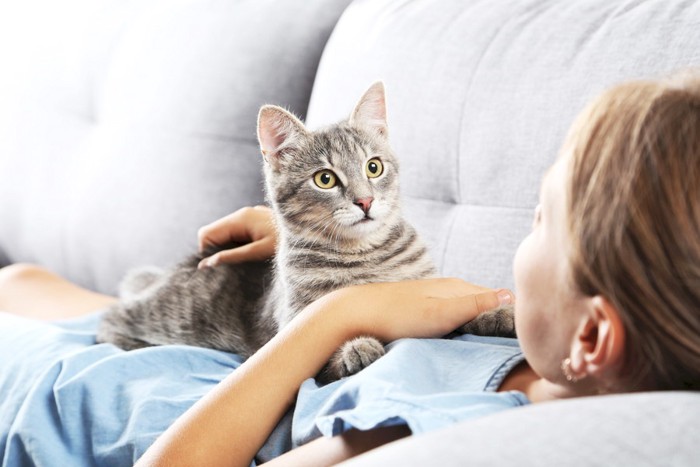 飼い主のお腹に乗る猫