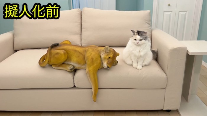ライオンとつくしちゃん
