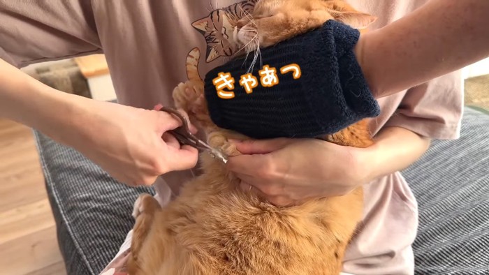 きゃぁっ