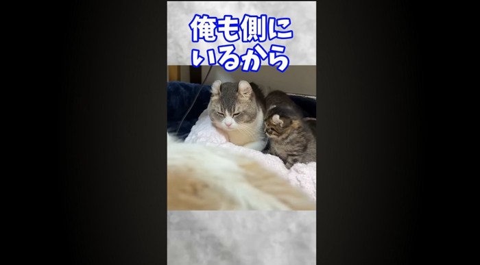 俺も側にいるから