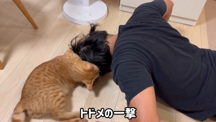 トドメの一撃