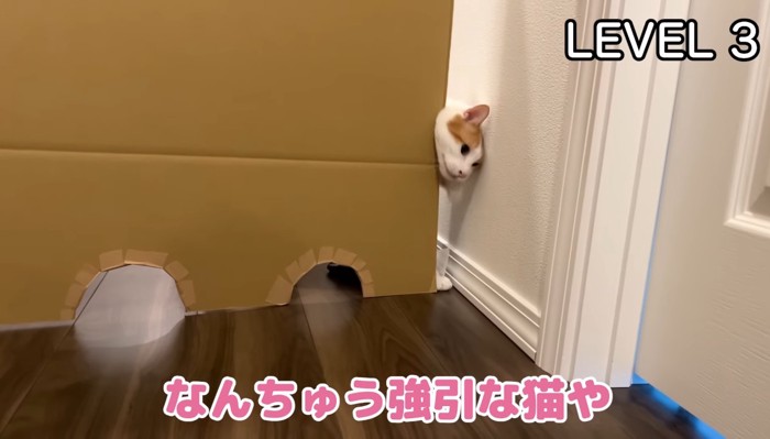 レベル3