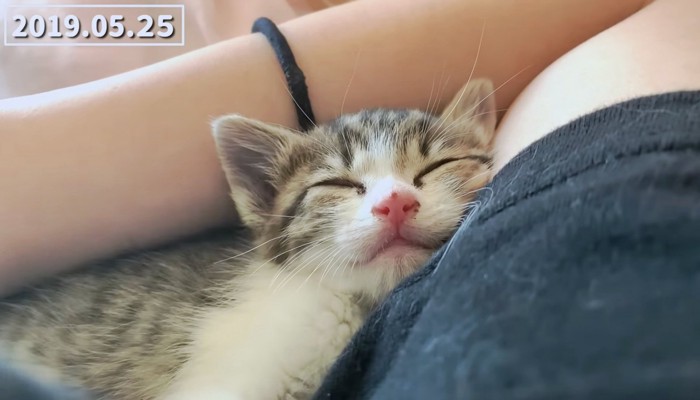 飼い主さんとの仲もどんどん深まる