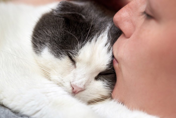 飼い主さんの首に抱き着いて眠る猫