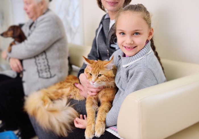 少女に抱かれる猫