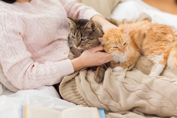 二匹の猫と飼い主