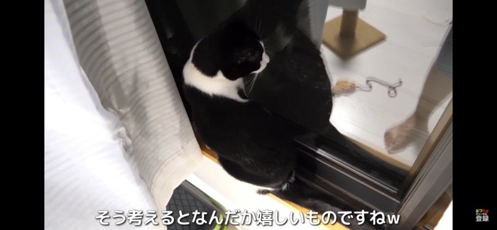 飼い主さんと同じ行動