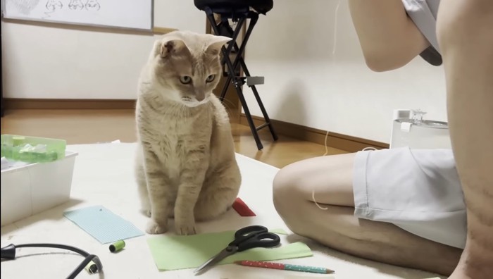 糸を見つめて