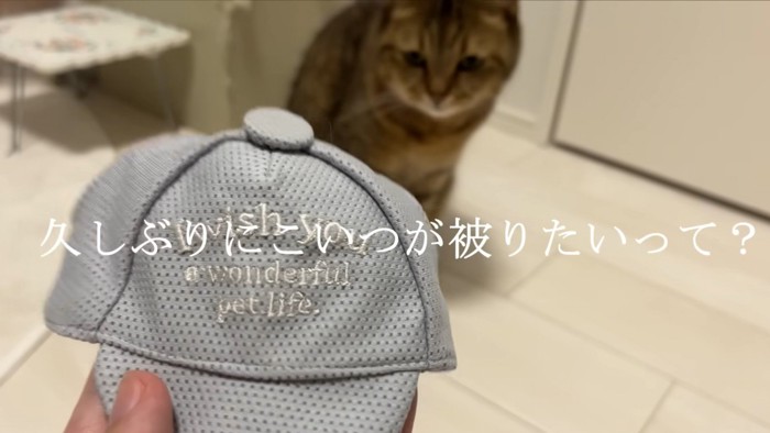 「久しぶりにこいつが被りたいって？」