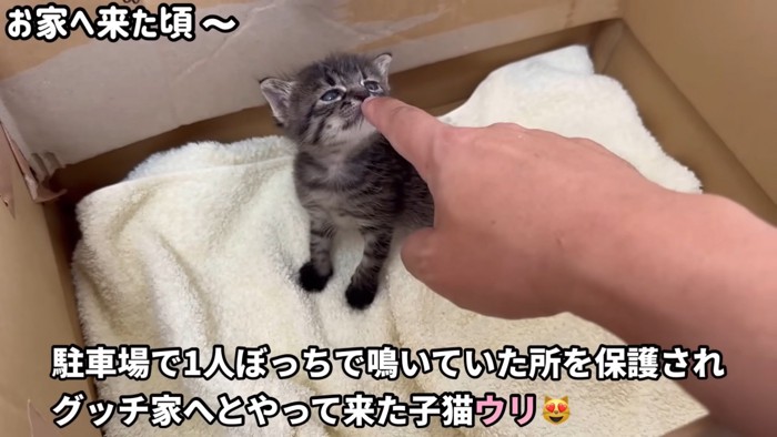 テロップ「駐車場で~」