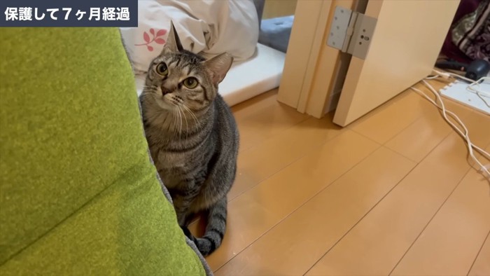 保護して7ヶ月