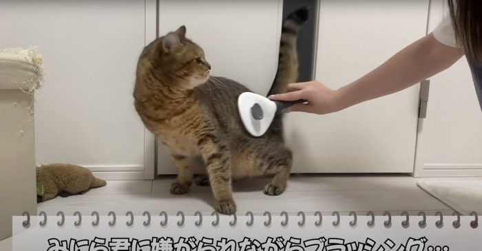 嫌がるみにらくん