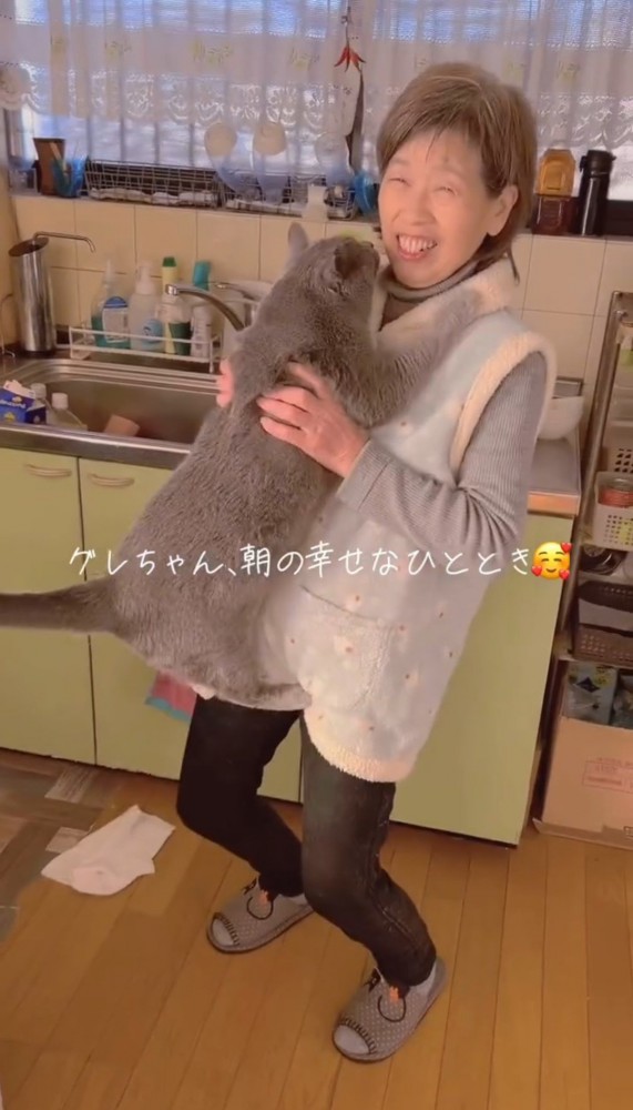 女性に向かってジャンプする猫