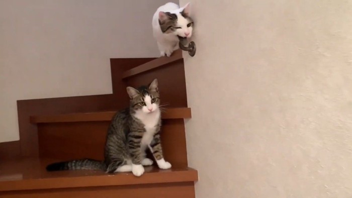 2ショット