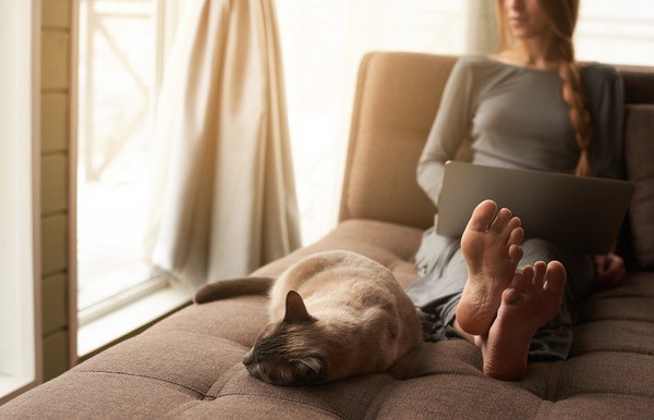 女性の側にいる猫