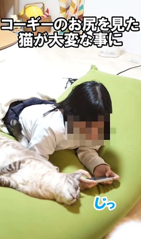 「コーギーのお尻…」と書かれた写真