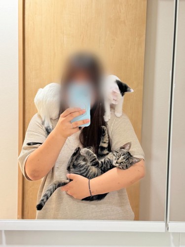 人に抱っこされる子猫と肩に乗る子猫たち