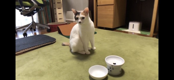 完食