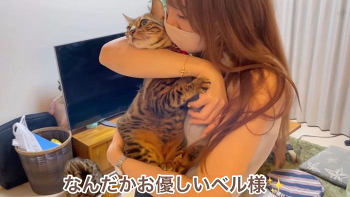 抱っこされる猫