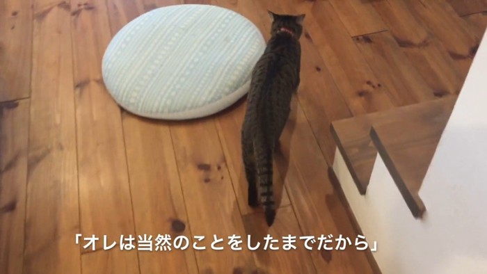 当然のことをしたまでだから