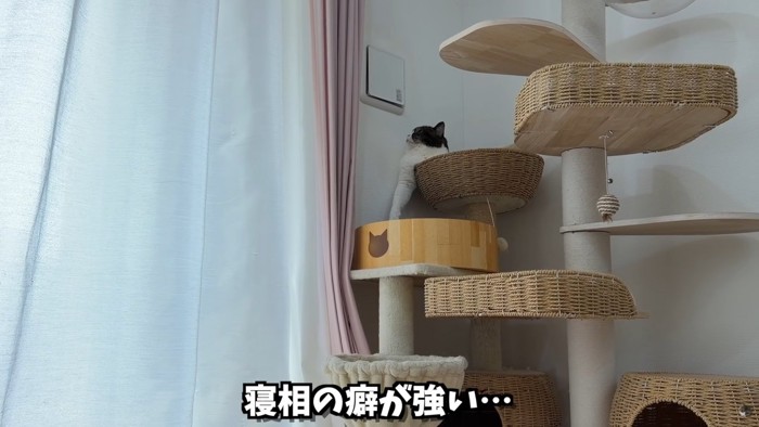テロップ「寝相の癖が~」