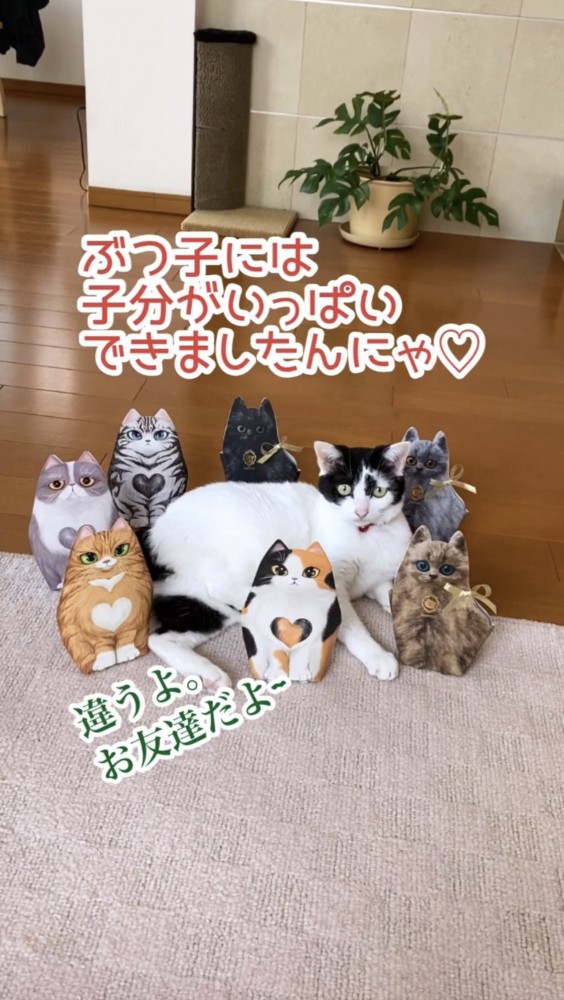 猫の置物に囲まれる猫