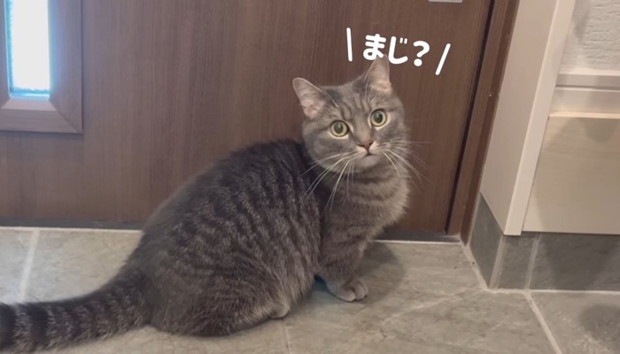 まじ？