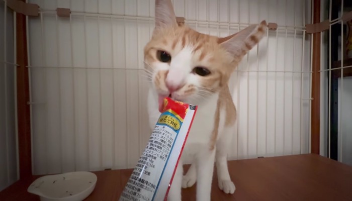 おやつ