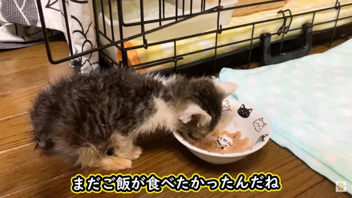 食事タイム