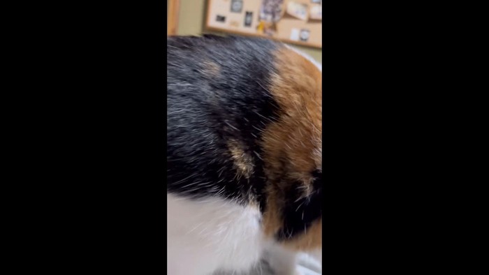 下半身アップ