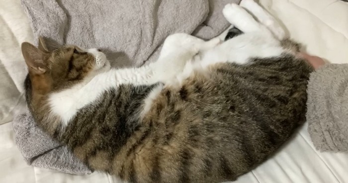 満足そうなミックくん