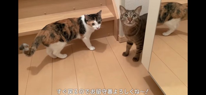 お見送り