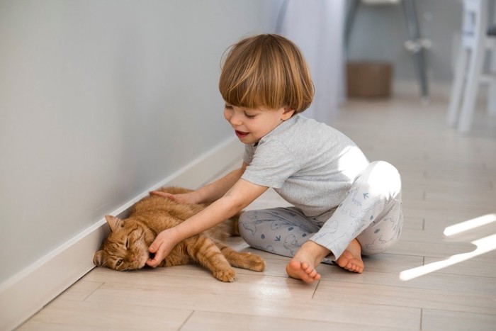 猫と遊ぶ小さな男の子