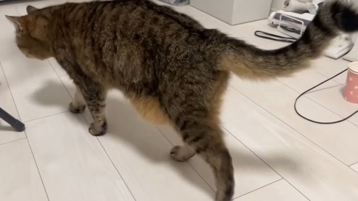 去って行く姿