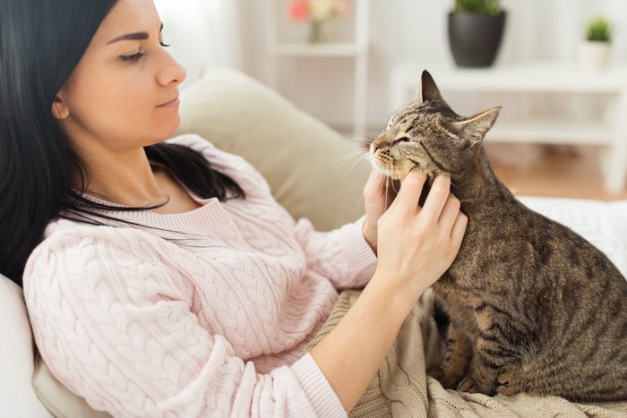 飼い主の膝の上で甘える猫