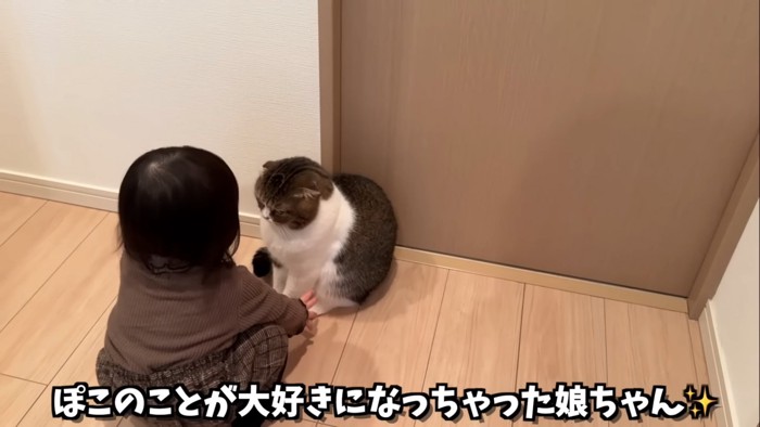 向かい合う女の子と猫