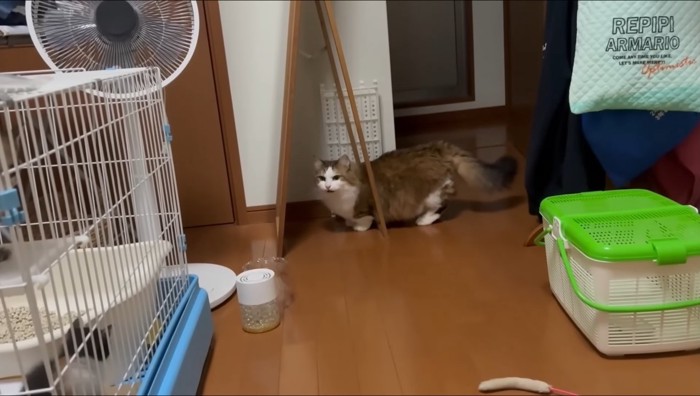 唸り声