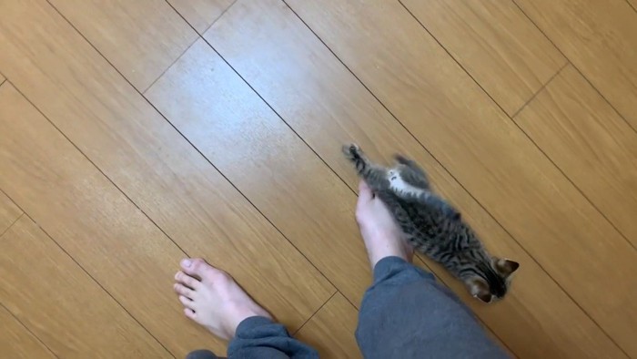 足元へ
