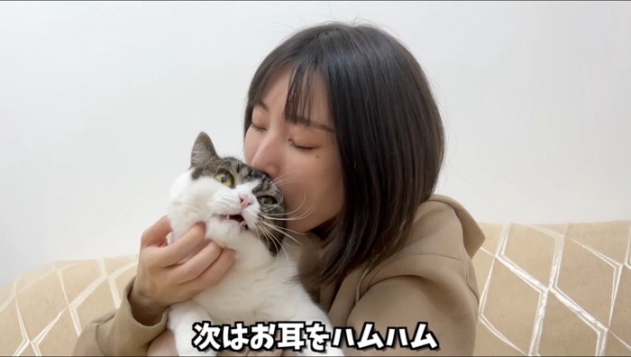 立ち耳の猫の耳を口に咥える女性