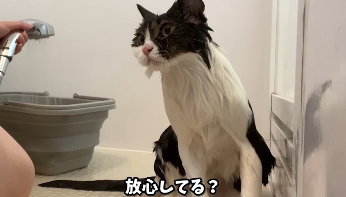 放心してる?