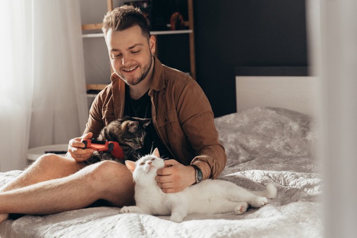 ベッド上で男性とくつろぐ猫たち