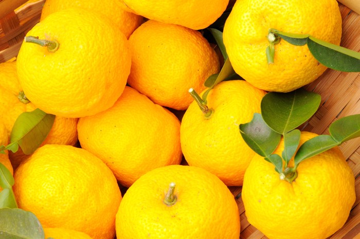 ざるの上に置かれたたくさんの柚子
