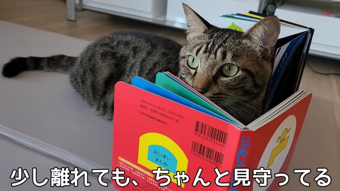 テロップ「少し離れても、~」