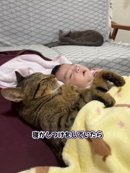 赤ちゃんと一緒の布団で寝る猫