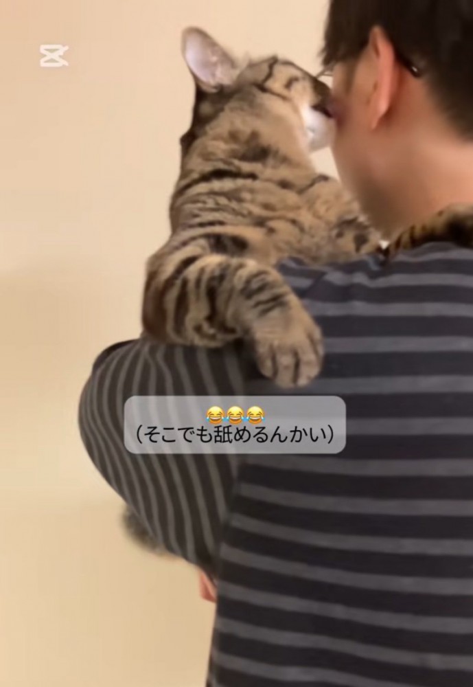 頬を舐める猫