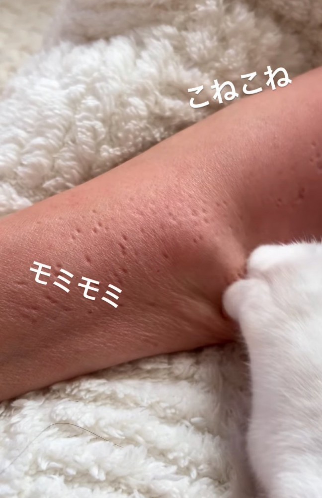 腕をコネコネする猫の前足2