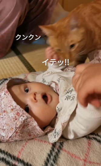 赤ちゃんの手が当たり「イテッ！」