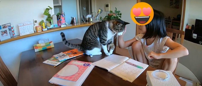 なでられる猫