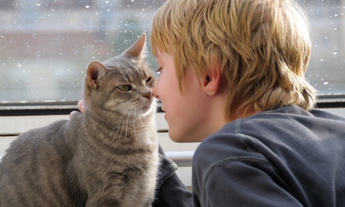 猫と男の子