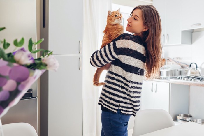 女性に部屋で抱っこされている猫